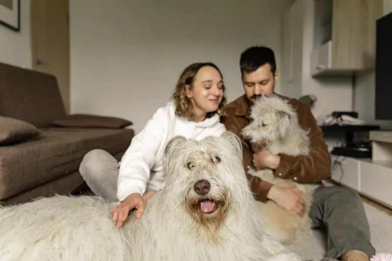 Dog Person, Cat Person, or Chaos Person? How to Actually Choose the Right Pet for Your Family