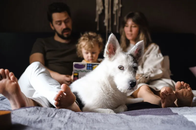 The Last Walk Home: How to Guide Your Family Through the Goodbye That Changes Everything