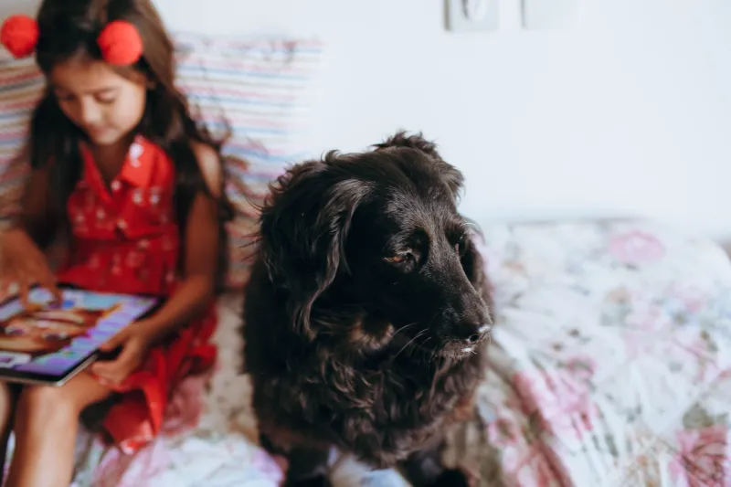 Sneezing, Wheezing, and Still Deeply in Love: Navigating Pet Allergies as a Family