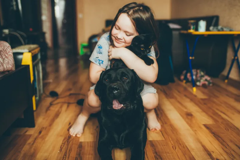 Two Homes, One Very Confused Dog: Surviving Pet Co-Parenting After a Split