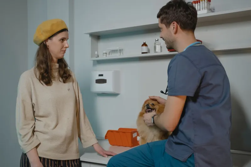 Don't Wait for the Worst: How to Build a Pet Emergency Fund Before Your Vet Does It for You