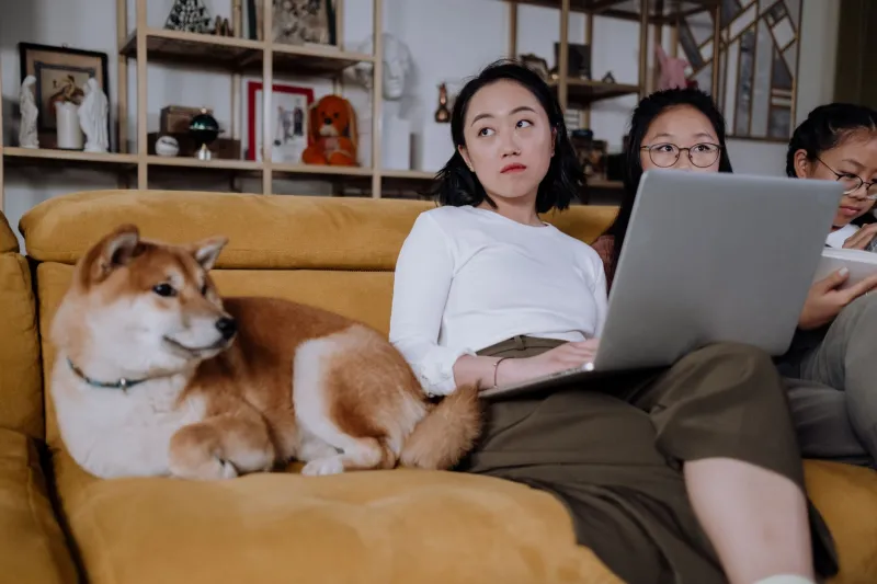 Kibble, Copays, and the IRS: The Surprisingly Real Tax Breaks Hiding in Your Pet Parenting Life
