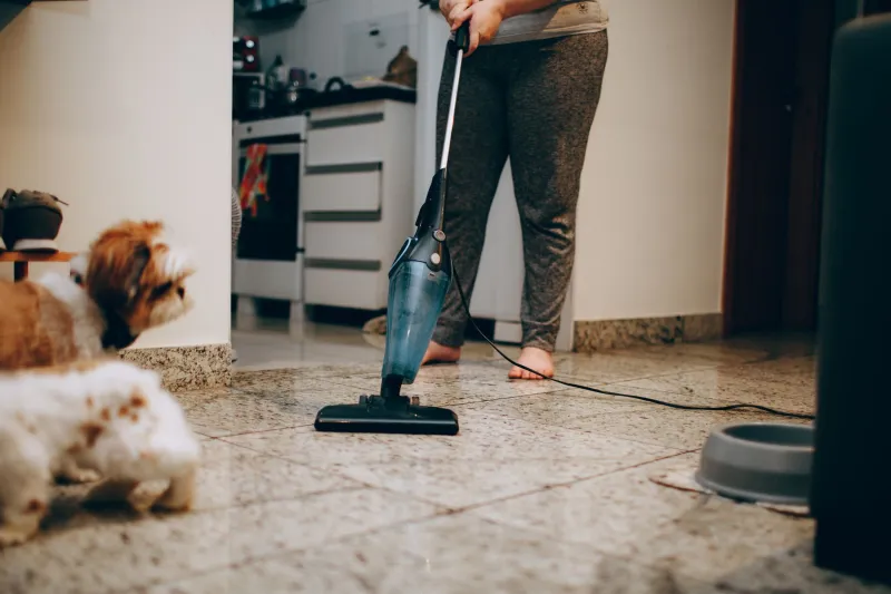 Ditch the Fumes, Keep the Fur: A Room-by-Room Pet-Safe Spring Cleaning Playbook