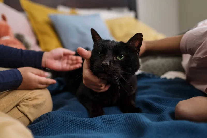Cute Doesn't Come Cheap: The Real Price Tag on Every Pet Your Kid Will Beg You For