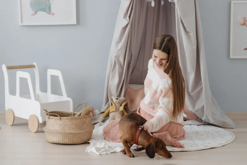 Baby's Coming—But Your Pet Heard It First: The Science of Pre-Baby Prep for Your Furry Family Member