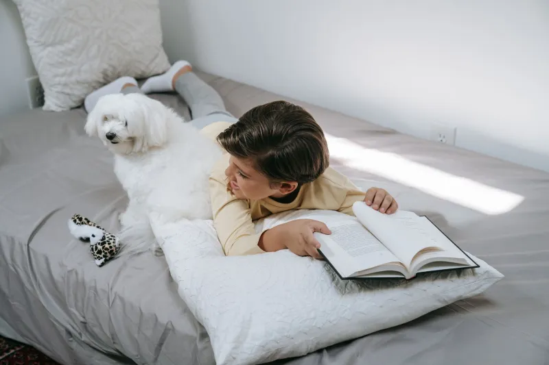 Gray Muzzle, Full Heart: How to Remake Your Home and Your Mindset for a Senior Pet