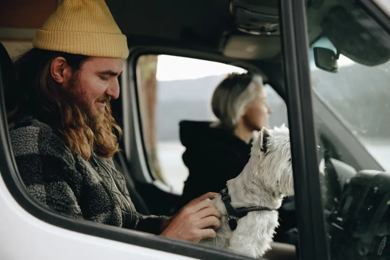 Pack the Leash, Load the Car: Your No-Stress Guide to Spring Break with Pets